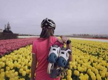 Patins em Tempos de Coronavírus na Holanda